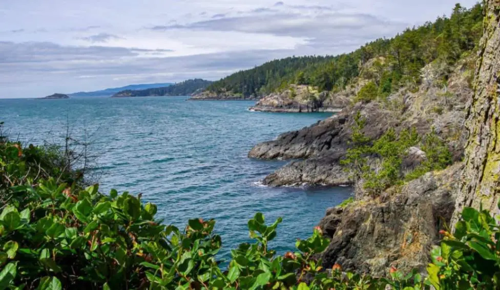 Cleaning Service in East Sooke